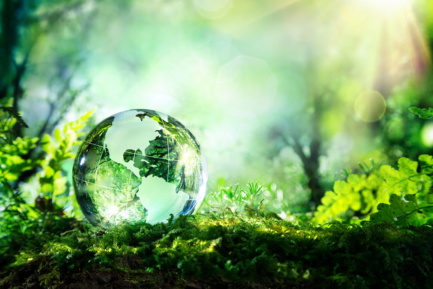 Green Printing