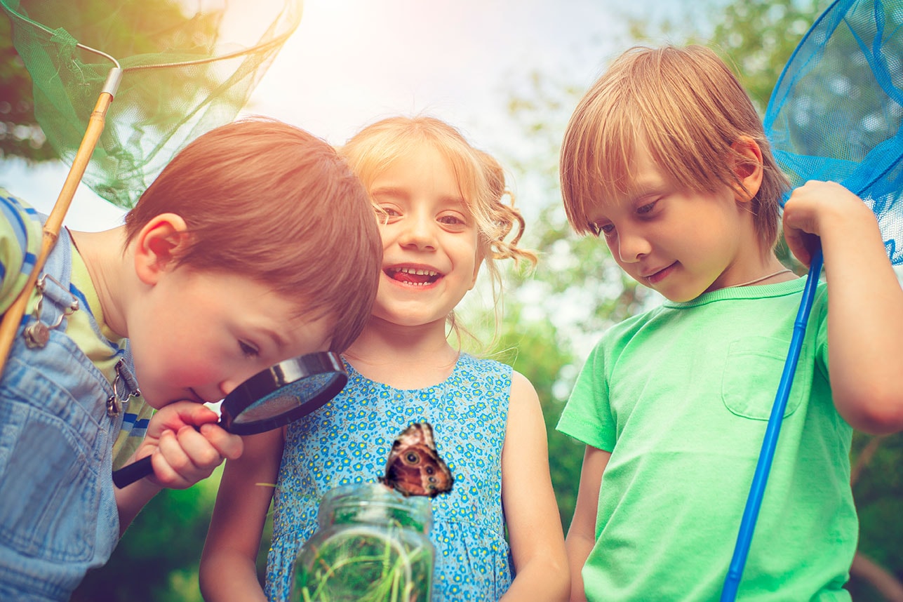 STEM Education